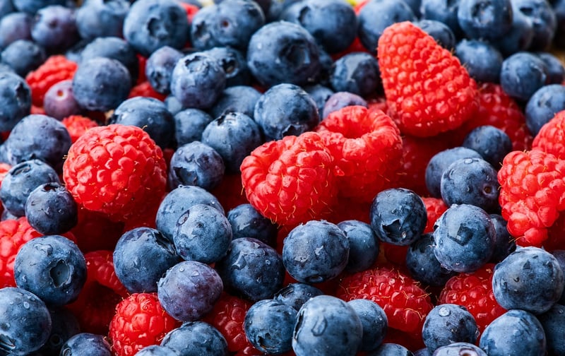 Meadow Berry Galette